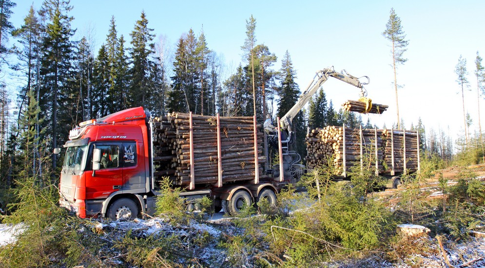 Лесовоз-сортиментовоз Scania G500