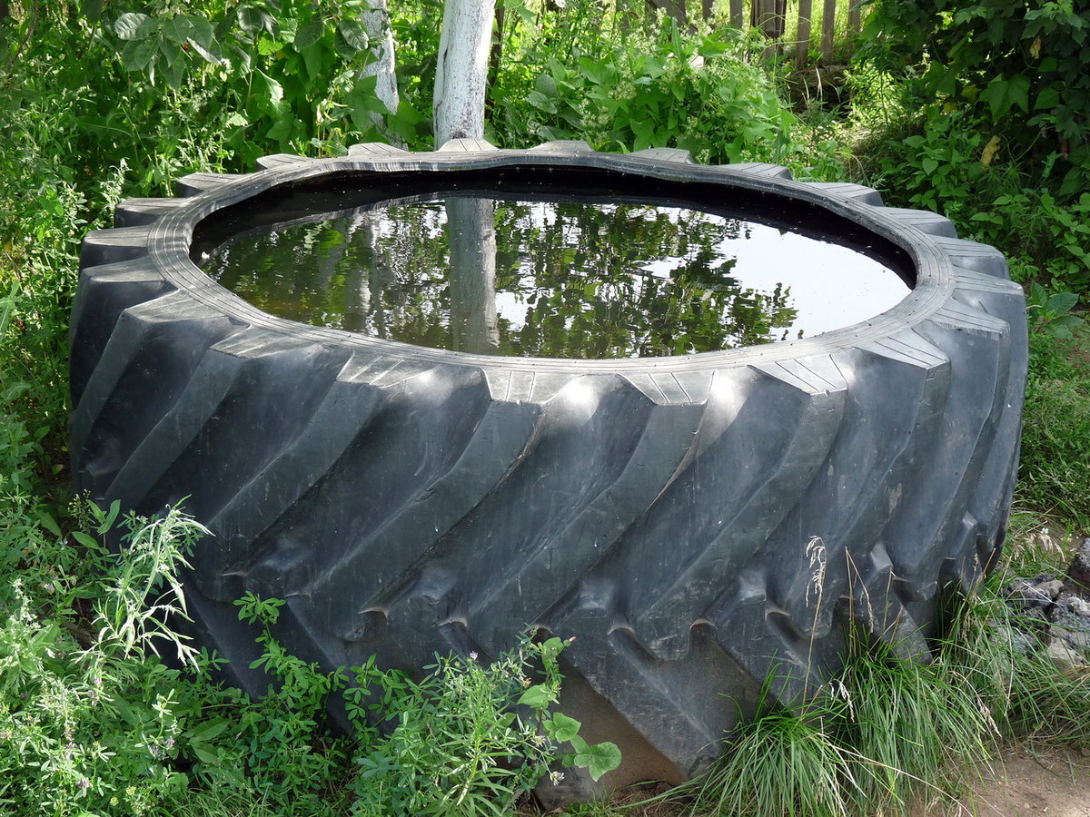 Хранение грузовых шин