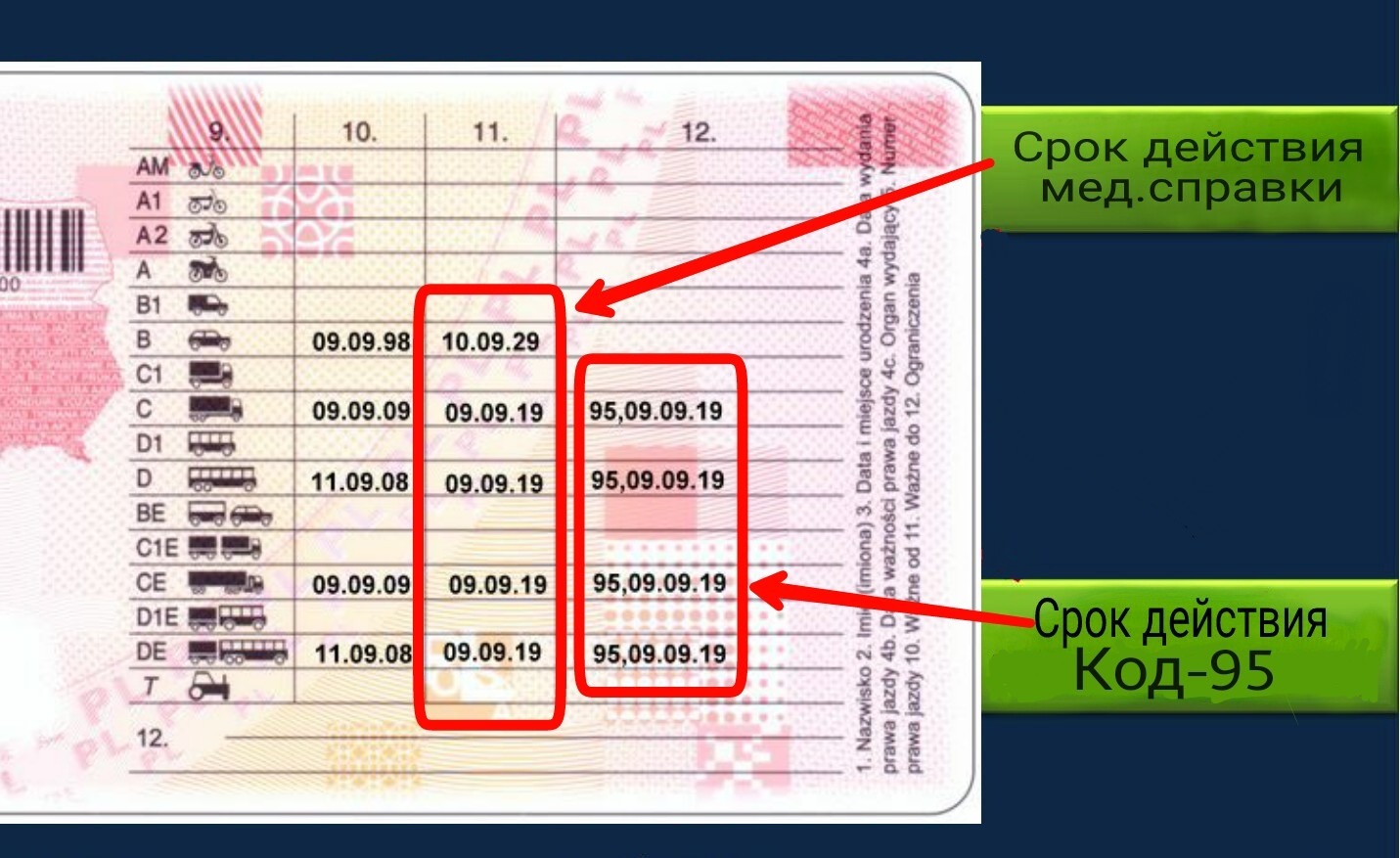 Код 95 для водителя в Европе