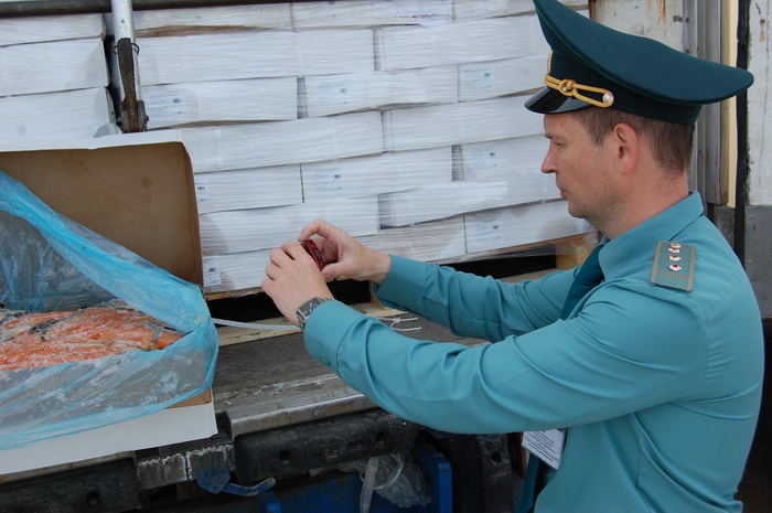 Автоперевозки в Беларуси  