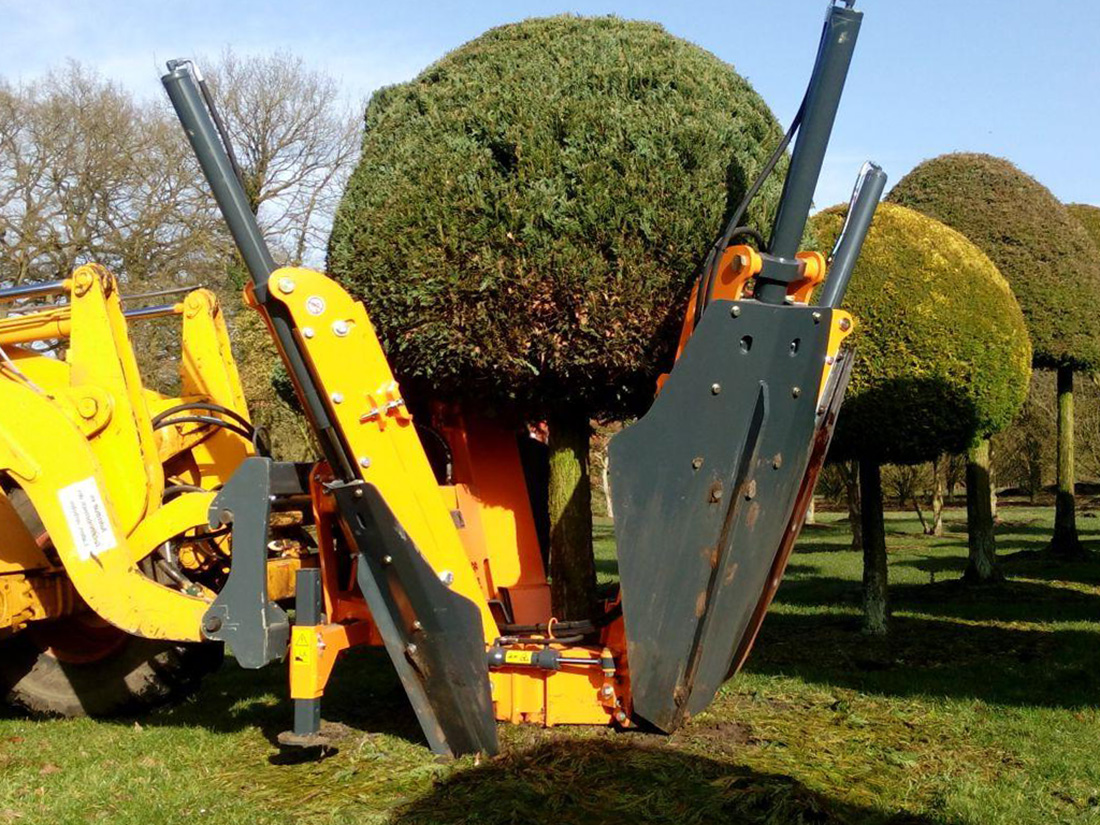 Пересадчики деревьев Bystron