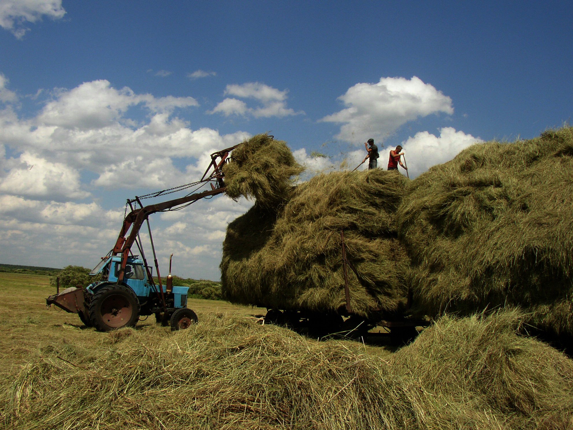 трактор МТЗ-5 «Беларусь»