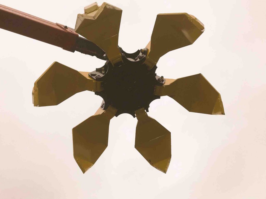  Клещеобразные