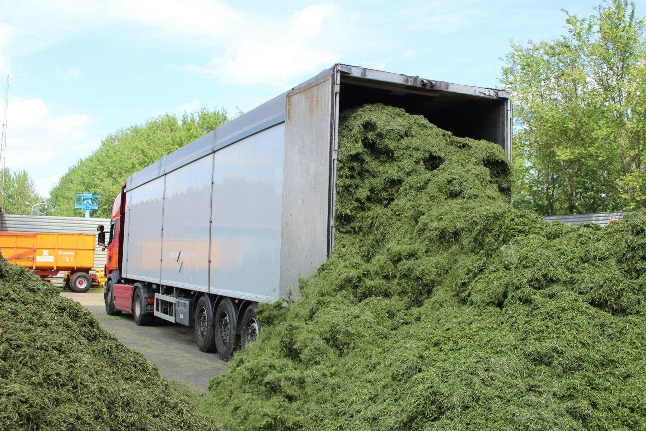 Грузовики-щеповозы