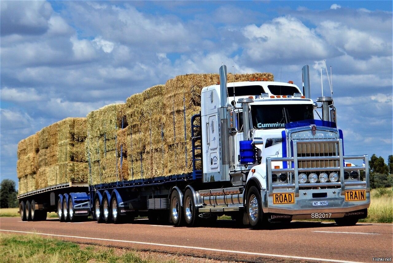 Автопоезда