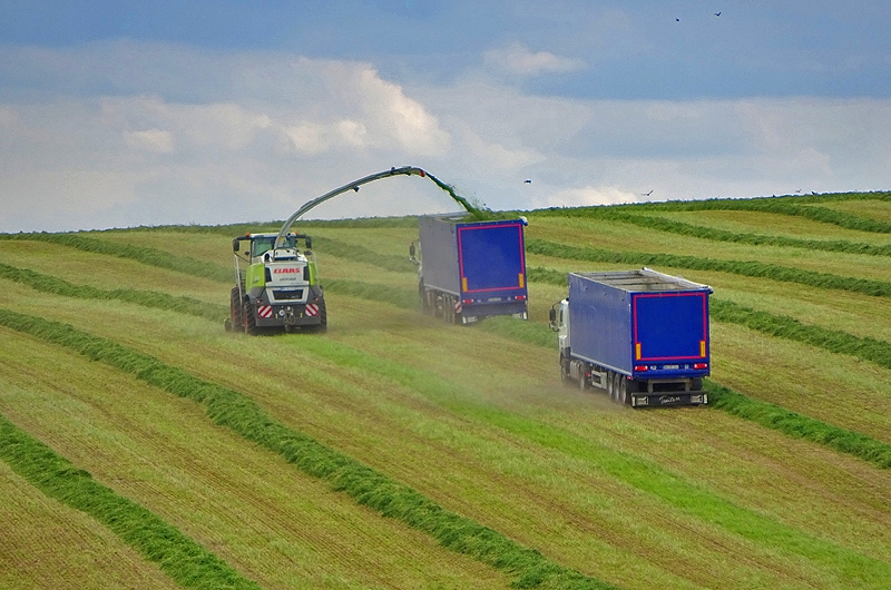 Грузовики-щеповозы