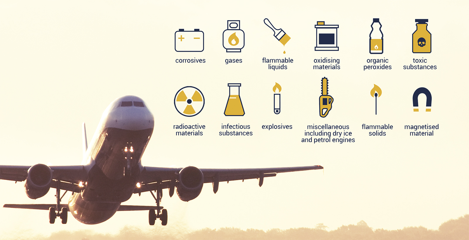 перевозки опасных грузов по воздуху