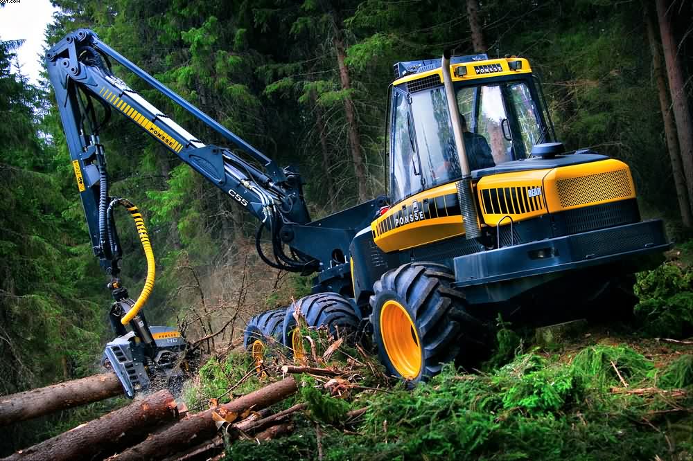 Как выбрать лесозаготовительную спецтехнику