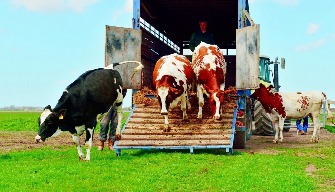 Требования к автотранспорту