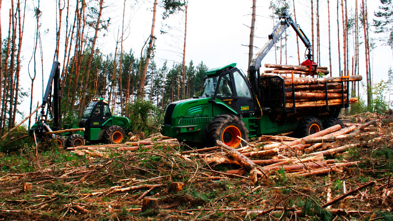 производство и продажа лесозаготовительной техники