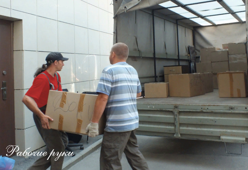 выбор перевозчика