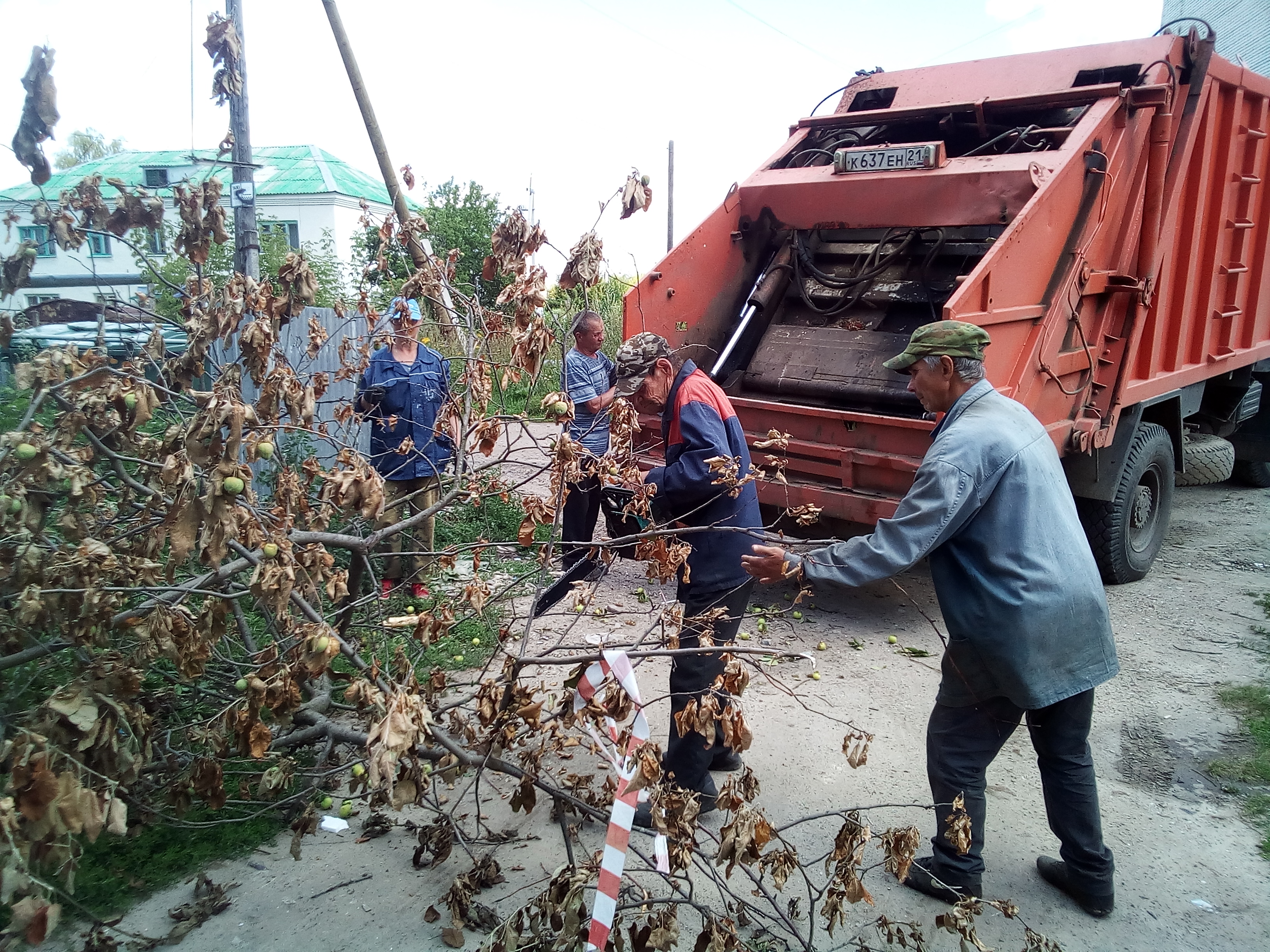 особенности тонкости требования к вывозу крупногабаритных отходов