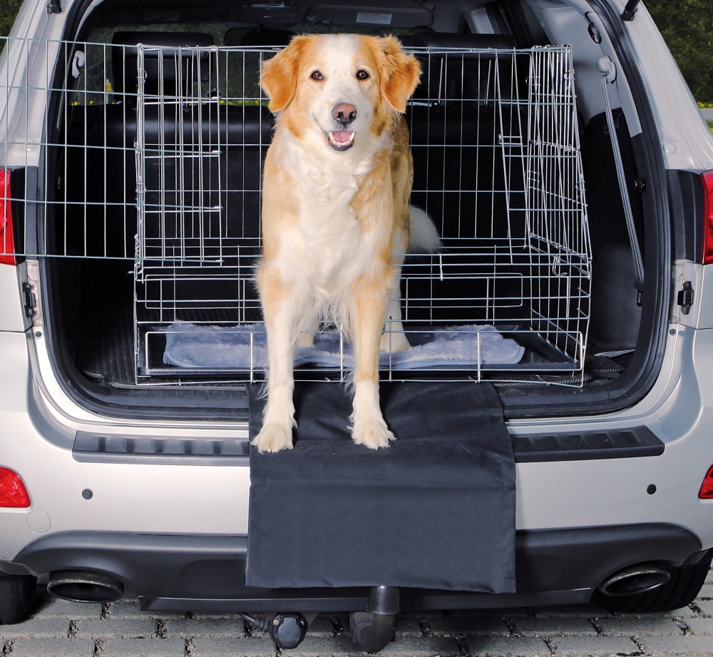 перевозка домашних животных