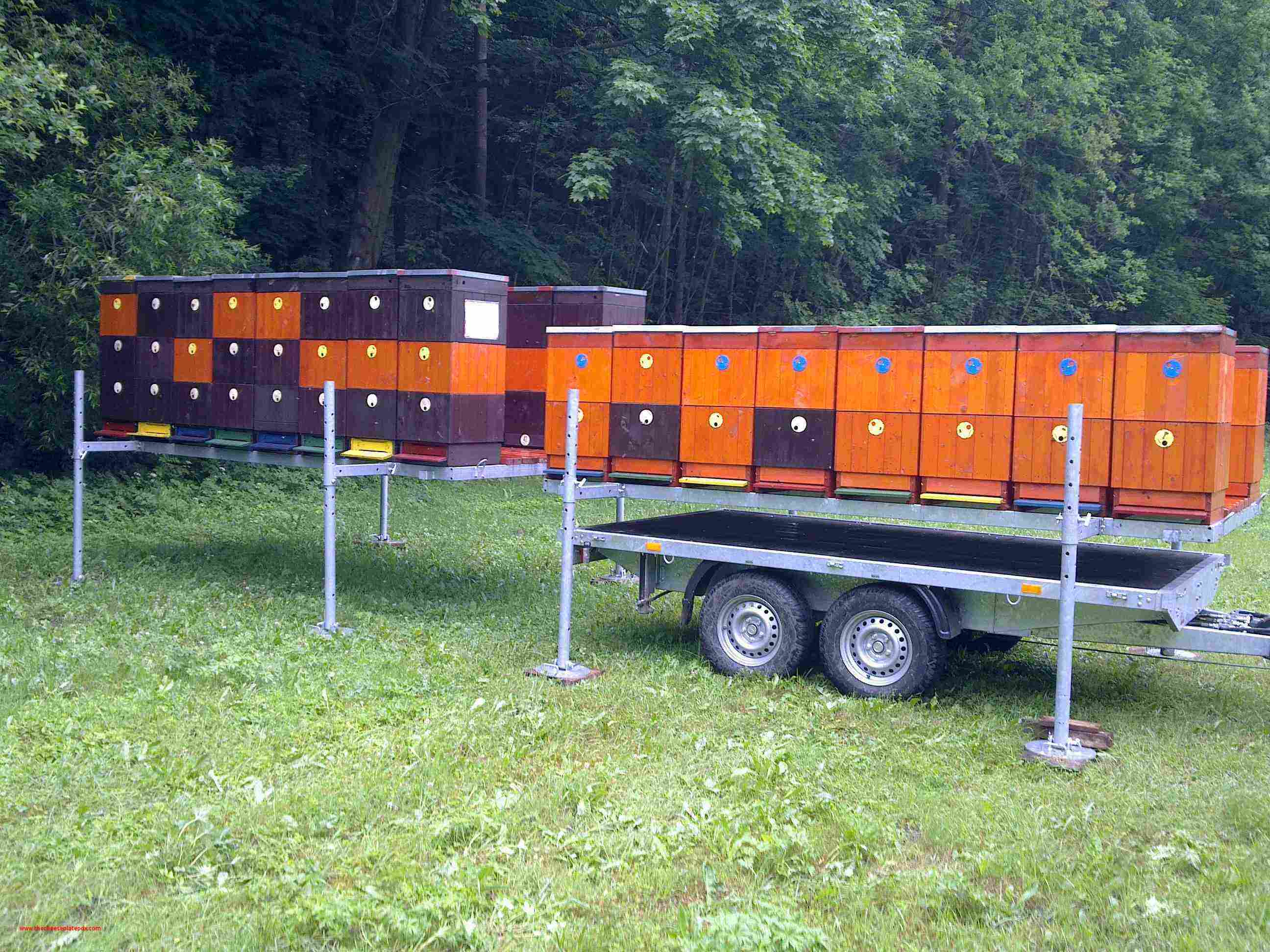 перевозка пчел