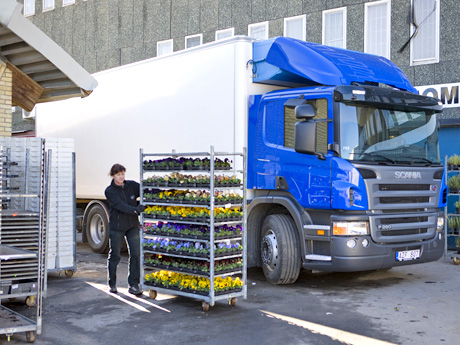 перевозка растений, посадочного материала удобрений и средств защиты растений как опасного груза