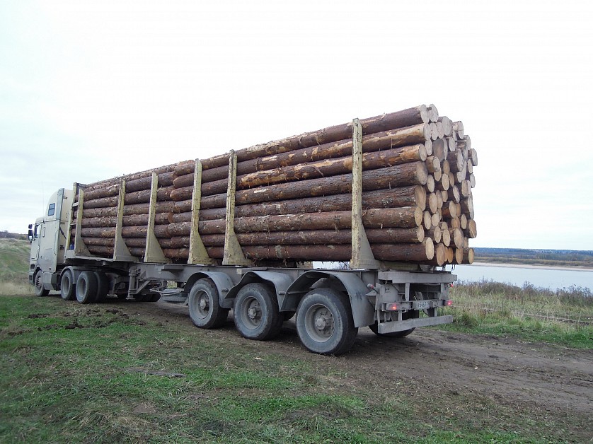  лес-кругляк на платформе