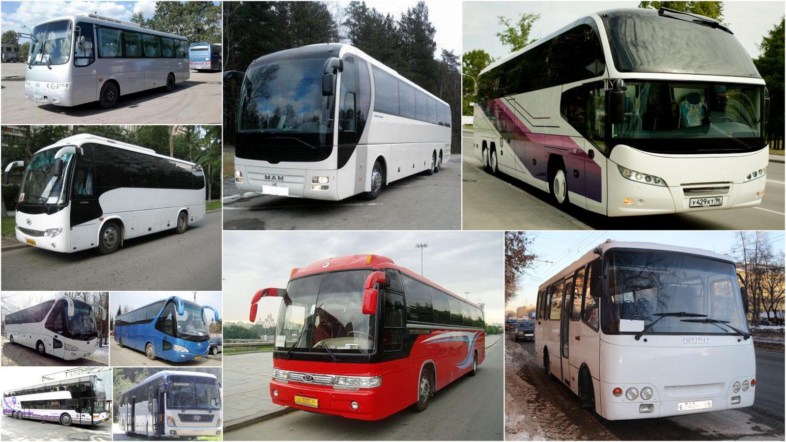 виды автобусов для аренды