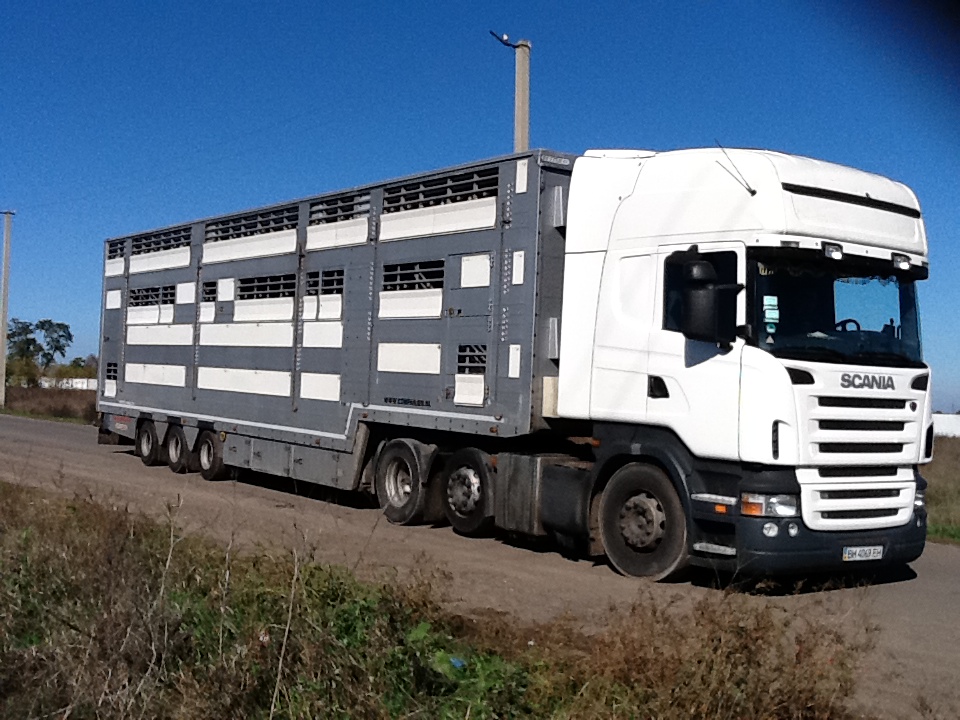 перевозка животных