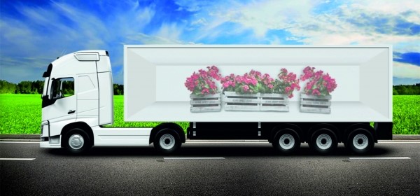 транспортировка цветов