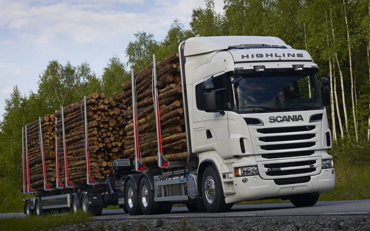 документы на доставку леса